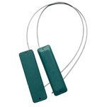 Tag Sêl Cebl RFID
